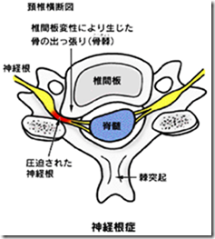 プロによるマッサージ